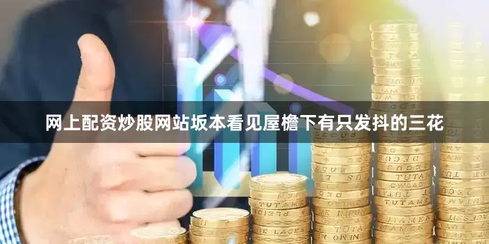 网上配资炒股网站坂本看见屋檐下有只发抖的三花